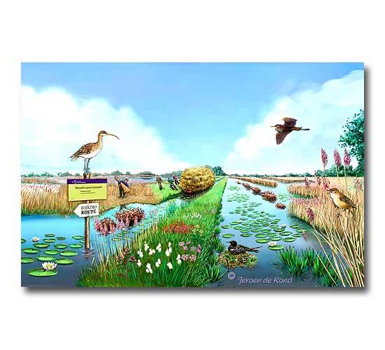 Nieuwkoopse Plassen (Natuurmonumenten)