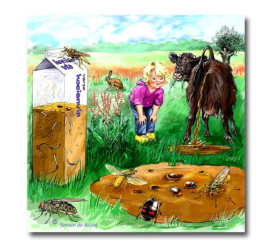 ecosysteem koeienvla (Het Utrechts Landschap)