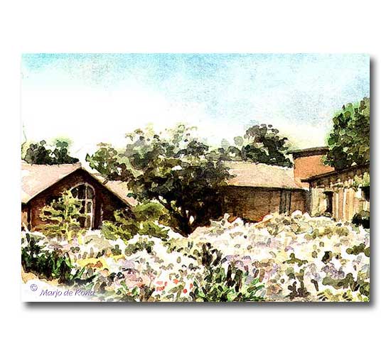 Winery met Agapanthus - Kenwood, California