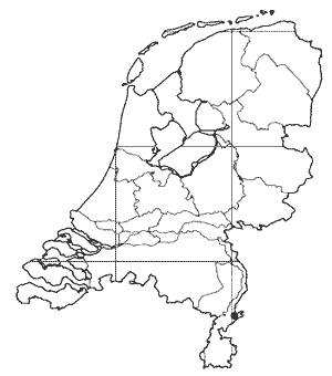 Passaloecus brevilabris, kaartje vindplaats in NL