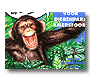 chimpansee