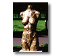 torso