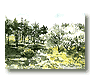 Kennemerduinen